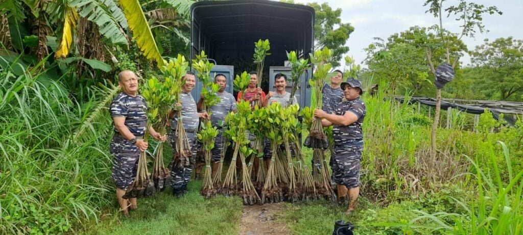 Gaes !!! Paspotmar Lanal Malang kirim Bibit Mangrove Hijaukan Pantai Selatan