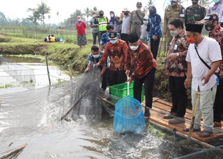 Bupati Malang Drs.HM.Sanusi MM waktu tebar Bibit Ikan (suaragong/Ist).