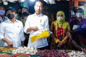 Gaes !!! Jokowi Tetap Akan Impor Beras