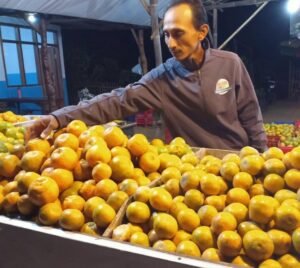 Gaes !!! Pembatasan Pupuk Bersubsidi Rugikan Petani Jeruk