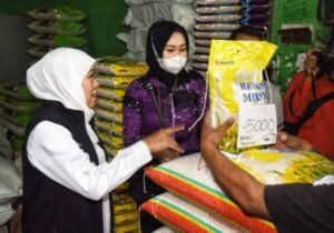 Harga Beras Masih Mahal, Padahal Sudah Operasi Pasar