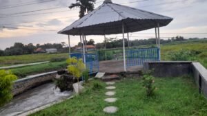 Gaes!! Kok Bisa Minim Fasilitas, Akhirnya Taman Baca Desa Sepi Pengunjung