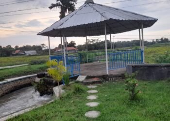 Kondisi taman baca desa selalu sepo pengunjung. ( suara gong/sta)