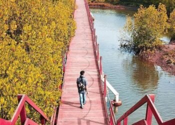 Kawasan hutan mangrove tempat rehat yang menyejukan. (suara gong/sta)