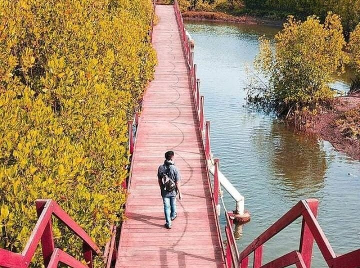 Kawasan hutan mangrove tempat rehat yang menyejukan. (suara gong/sta)