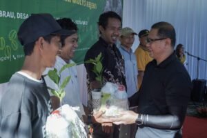 Gaes !!! Apa Benar Petani Dusun Brau Mau Beralih Tanam Kopi?