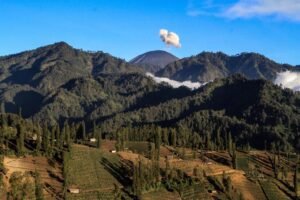 Gaes !!! Ini Lho Ide Liburan Saat Lebaran, Balik ke Desa di Malang