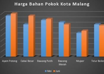 grafik harga bahan pokok di kota malang (ist)