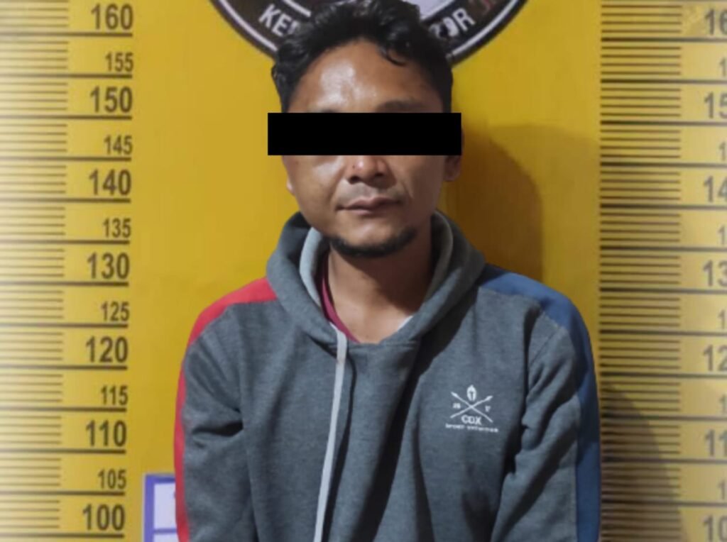 Gaes !!! Apes, Curi Burung Terekam CCTV, Berakhir Dipenjara