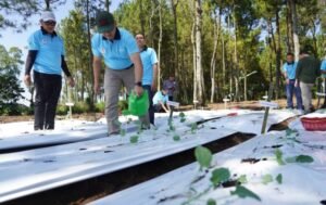 Gaes !!! Pj Walikota Batu Bangkitkan Semangat Pertanian Hortikultura