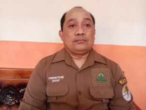 Gaes !!! Ratusan Tukik Segera Melaut di Pantai Bajulmati