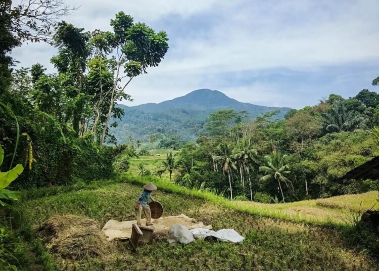 ilustrasi petani Kota Batu (rul)