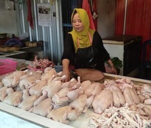 Gaes !!! Kini Harga Daging Ayam Hampir Rp 40 ribu per Kg