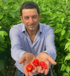 Gaes !!! Cabai Carolina Disebut Terpedas di Dunia