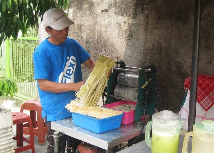 penjual tebu (wikipedia)