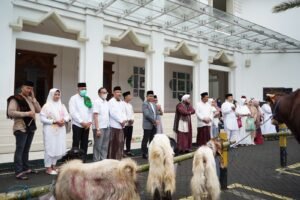 Gaes !!! Ini Jumlah Hewan Qurban dari ASN Kota Batu, yang Diibagikan kepada Warga