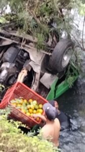 Gaes !!! Gegara Jalan Sukosari Gelap, Mobil Bermuatan Jeruk Masuk Jurang Kasihan Ya
