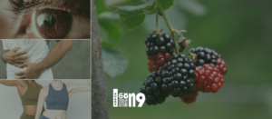 Gaes !!! Kenali Buah Arbei Beserta Manfaatnya