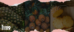 Gaes !!! Jangan Takut Makan Nanas, Perih di Mulut Ini Solusinya!