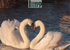 Gaes !!! Jangan Ditiru, Sepasang Kekasih Divonis 1 Tahun 6 Bulan Penjara, Gegara Prostitusi Online