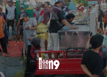 Petani tembakau di Krejengan adu cepat rajang tembakau dengan mesin. (FOTO: Wawan)