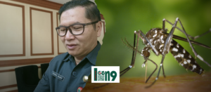 Gaes !!! Musim Kemarau Waspada Demam Berdarah Ya
