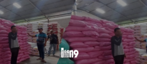 Gaes !!! Harga Beras Merangkak Naik, Warga Probolinggo, Siasati Makan Nasi Jagung