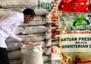 Gaes !!! Alhamdulillah Bansos Beras Presiden Pada KPM Segera Cair