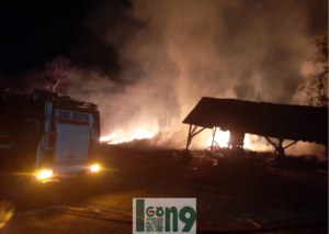 Gaes !!! Gudang Kayu Balsa di Probolinggo Terbakar, Kerugian ditaksir Capai Rp 100 Juta