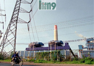 Gaes !! PT RMG Tambah Lokasi Stockpile, Perkuat Pasokan Bahan Bakar Biomassa Sawdust ke PT PLN Nusantara