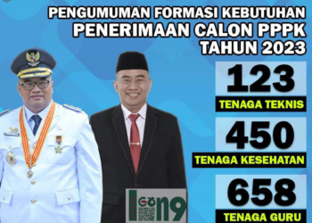 Pemkab Probolinggo membuka lowongan sebanyak 1.231 Pegawai Pemerintah dengan Perjanjian Kerja (PPPK) di 2023.