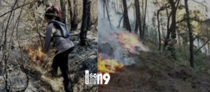 Gaes !!! Kini Kebakaran Hutan Gunung Arjuna Melahap 907 Hektar