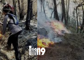 Hari ke 11 kebakaran hutan yang melanda Gunung Arjuna hingga pada Selasa (5/9/2023), merembet ke wilayah Kota Batu