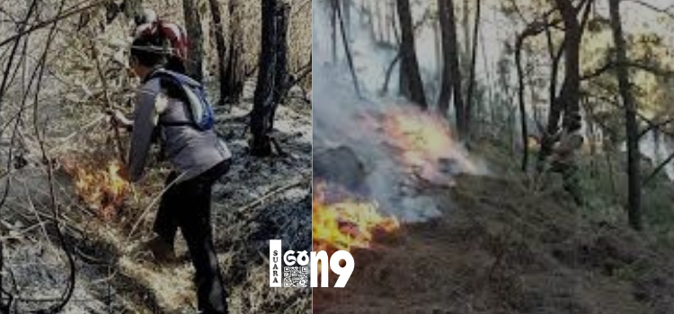 Hari ke 11 kebakaran hutan yang melanda Gunung Arjuna hingga pada Selasa (5/9/2023), merembet ke wilayah Kota Batu