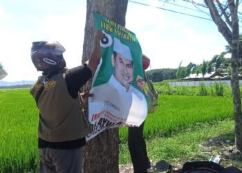 Proses penurunan paksa alat peraga kampanye (APK) di wilayah Kabupaten Malang.