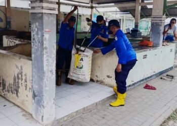 (Dok Damkar). Petugas Damkar sedang mengevakuasi ular disalah satu wilayah di Kabupaten Malang.