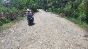 Gaes !!! Jalan Gondanglegi-Balekambang Rusak Parah Segera Diperbaiki