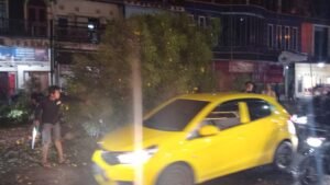 Gaes! Pohon tumbang Di Dau, Lalulintas Tersendat