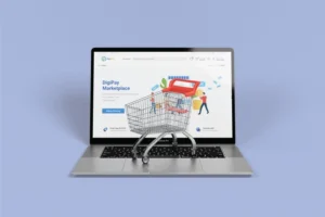 Gaes!!! Optimal UMKM dan Kas Negara, Pemerintah Kembangkan Digipay