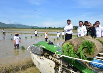 Ft. Laman Web Resmi kementerian pertanian konawe