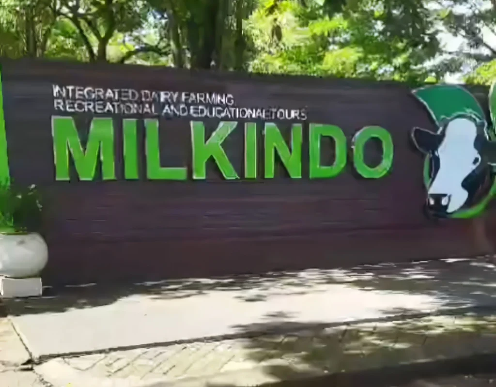 Milkindo Green Farm merupakan objek wisata edukasi dengan konsep pertanian dan peternakan yang menawarkan kegiatan menarik untuk anak-anak.
