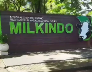 Gaes !!! Wisata Milkindo Kabupaten Malang