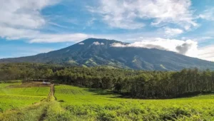 Gaes !!! Gunung Pucung, Eco Tourism Yang Mendatangkan Nilai Ekonomi