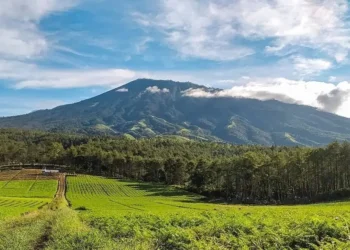 Ft : Beginilah kondisi kawasan Gunung Pucung, siap memanjakan wisatawan yang ingin menjelajah kawasan hutan dengan motor trail dan kendaraan adventure. (ist)