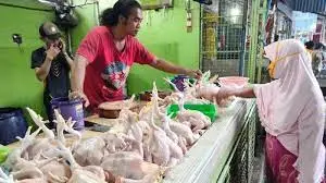 Harga ayam dan telur terus naik diprediksi sampai menjelang lebaran. Dan berpengaruh kepada daya beli masyarakat.