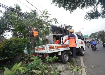 serta ada atap lepas terbang mengenai rumah warga serta ada beberapa pohon di kanan kiri jalan protokol mengalami roboh.