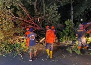 Ft : Penanganan Pohon Tumbang/Laman Pemkot Malang/