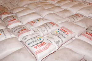 Gaes !!! Pupuk Subsidi Sudah Bisa Ditebus