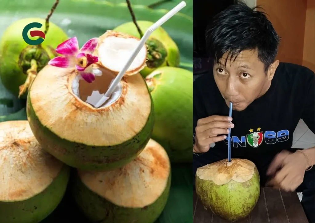 Gaes !!! Manfaat Air Kelapa Untuk Kesehatan Tubuh
