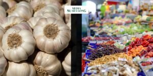 Gaes !!! Harga Bawang Putih Melonjak Naik